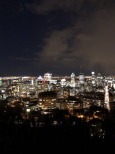 Load image into Gallery viewer, Puppy